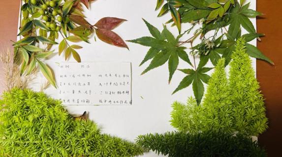 【行舟学堂】秋日私语藏雅趣，语文润心绽风华——碧波中学语文九月综合实践活动