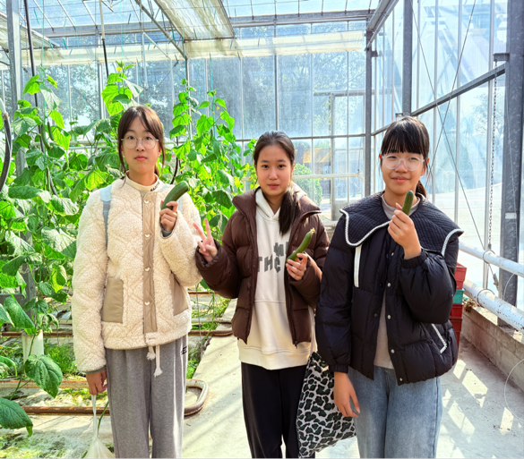 2025-11-22 12:10:27.163000