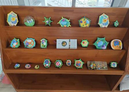 【行舟风采】科创筑梦 智启新航（二）碧波中学第三届隆冬科学文化节活动进行中