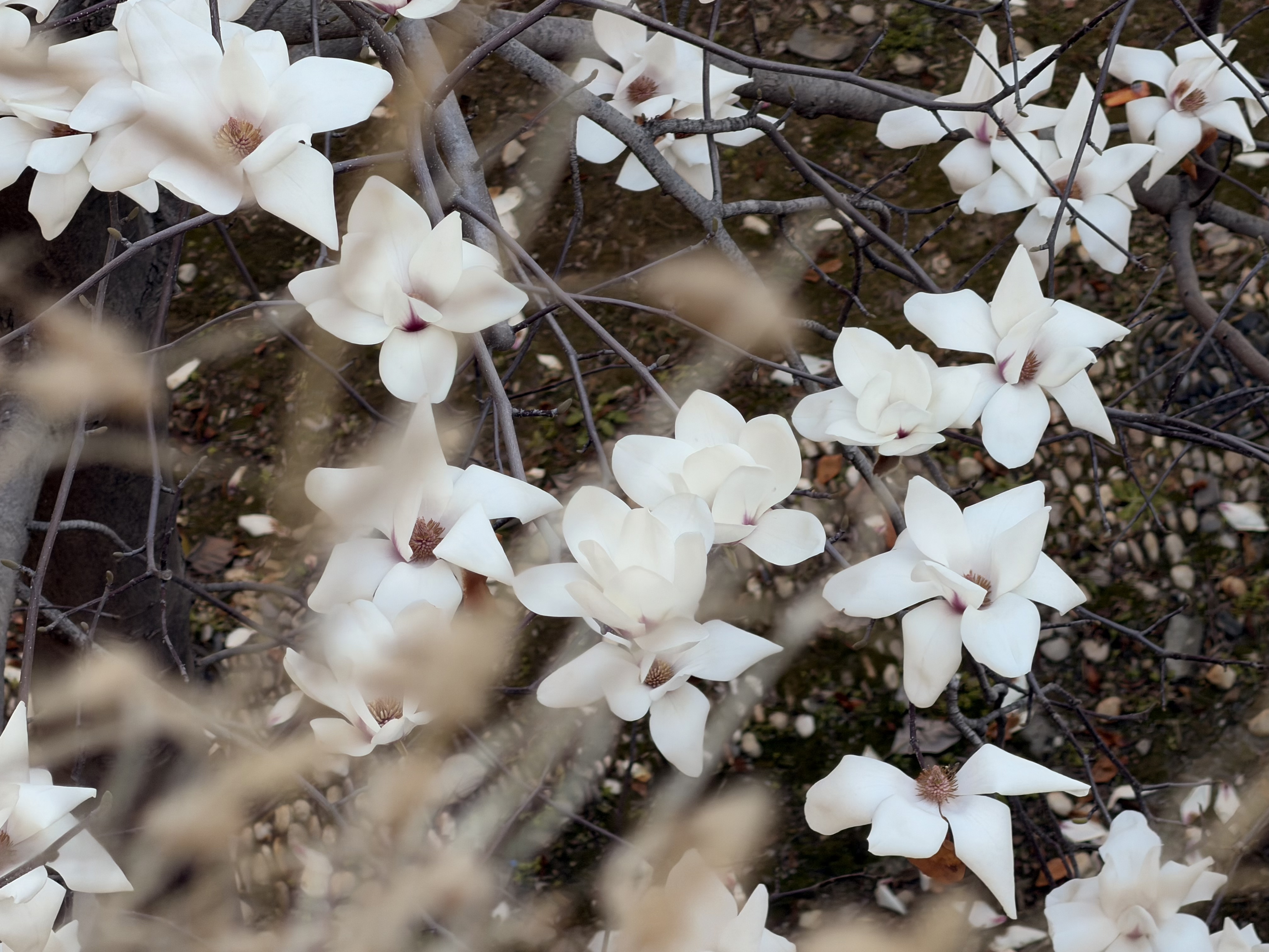 微信图片_20260317122823