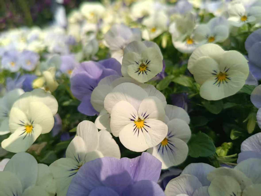 2026-03-21 07:57:26.268000