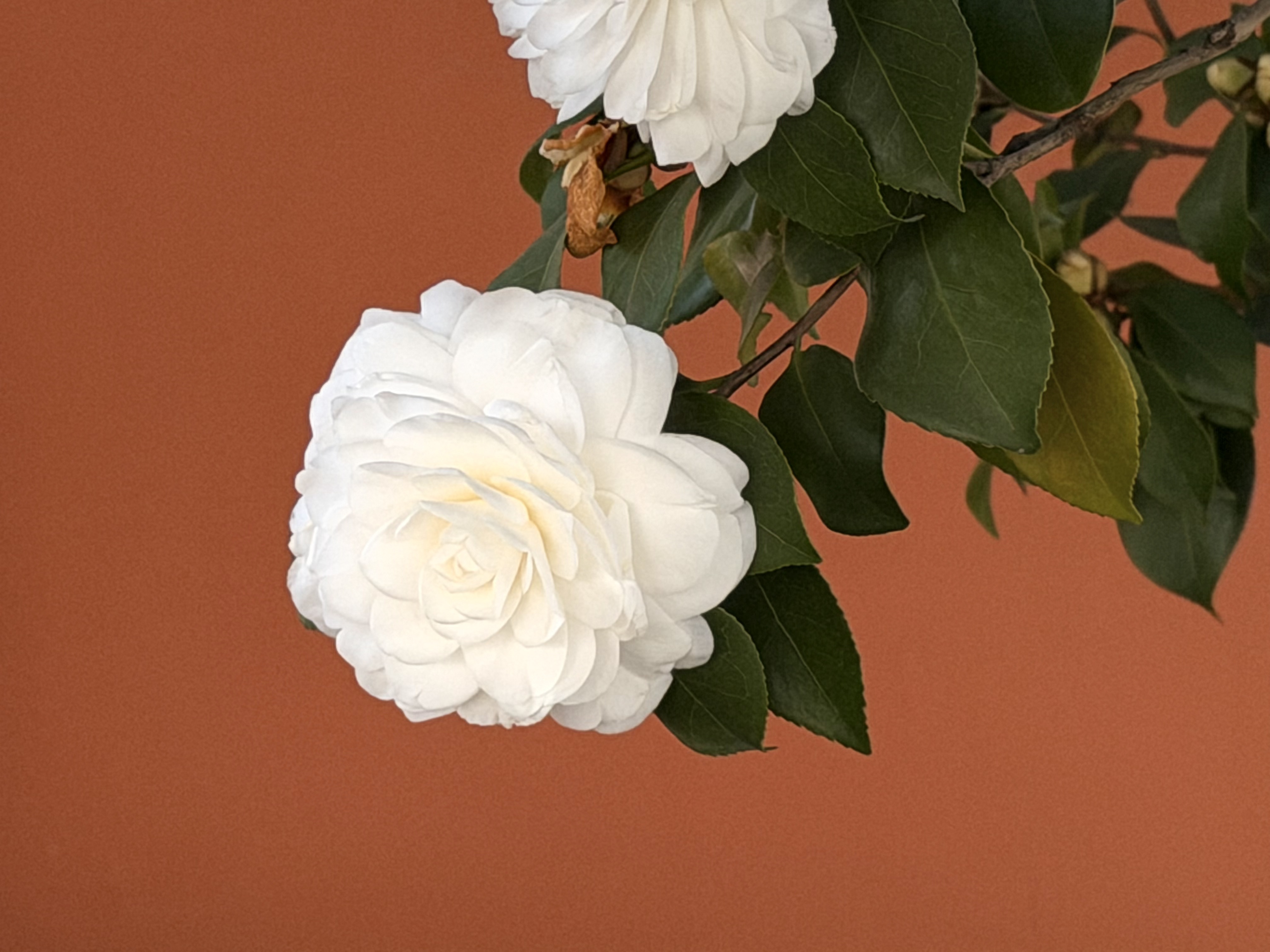 微信图片_20260317122856