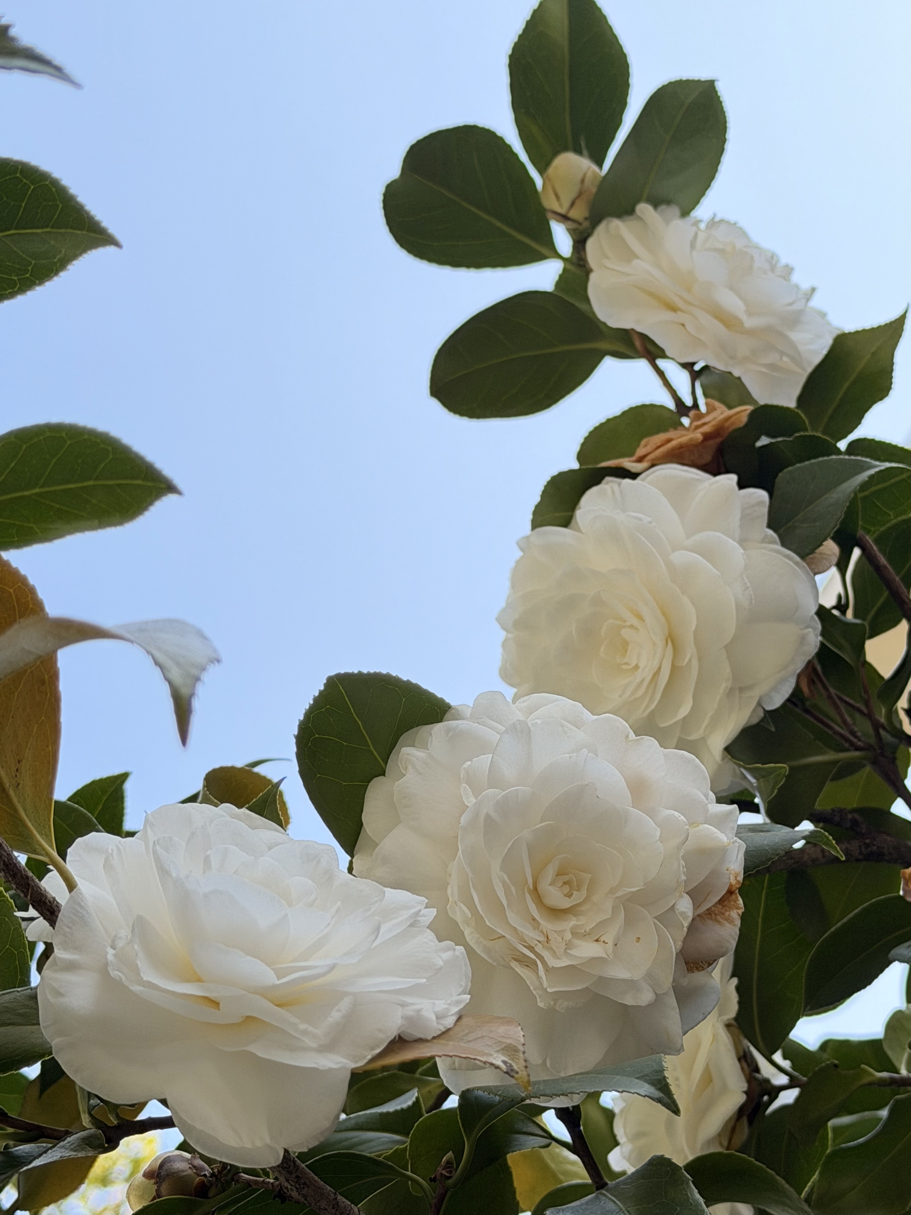 微信图片_20260317122852