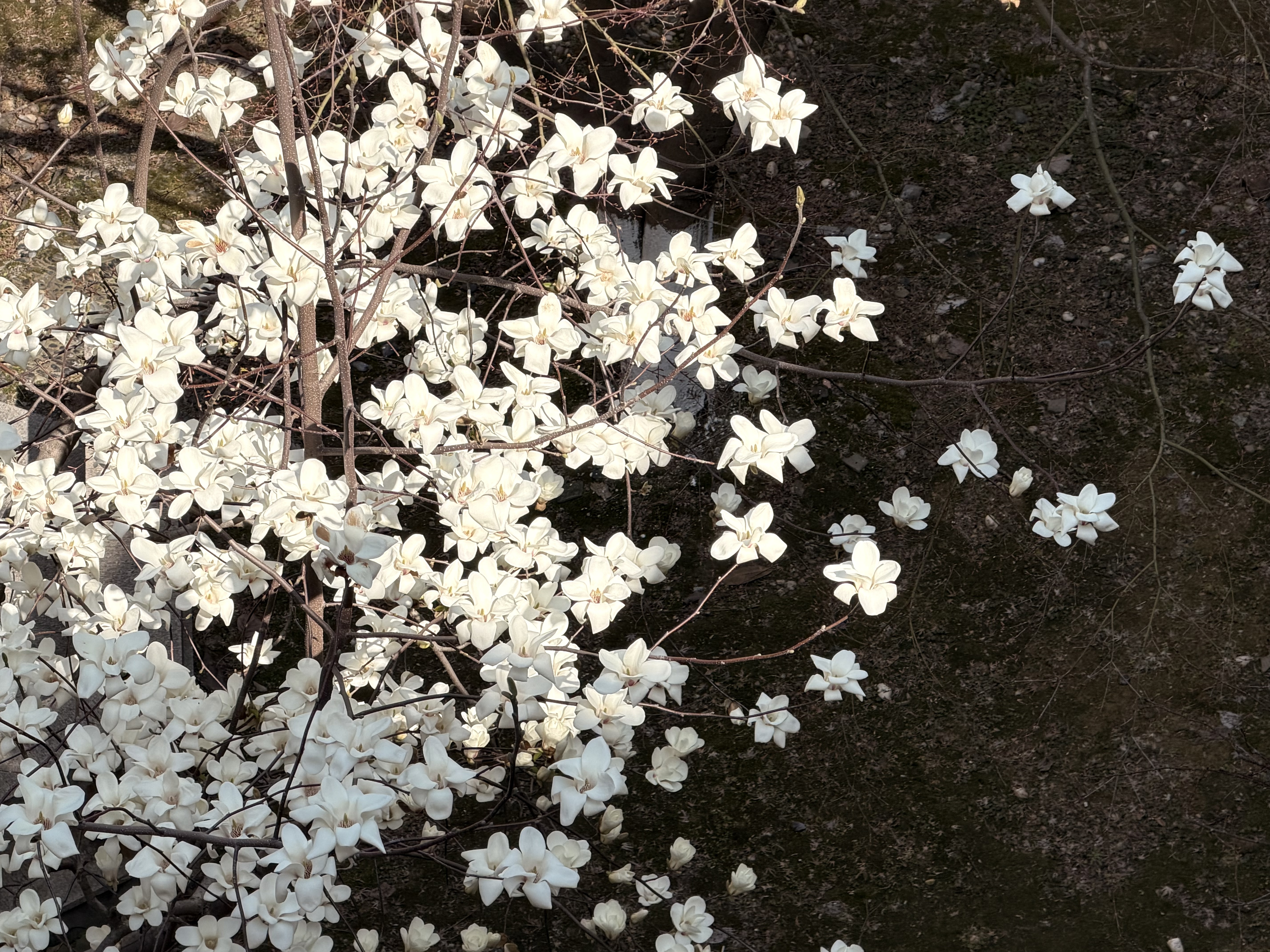 微信图片_20260317122845